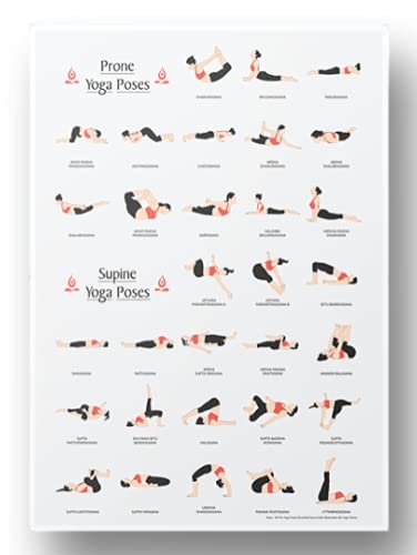 Lab NO 4 Yoga Poster, Prone & Supine Yoga Asanas Posture Poses in A3