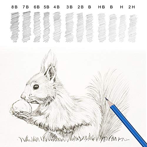 Lapices Colores Profesionales, Kit Dibujo Completo 72 Piezas incluye 24 Lapices Acuarelables 12 Lapices Colores 12 Lapices Metálicos 12 Lapices de Dibujo y Accesorios, Ideal para Adultos y Niños