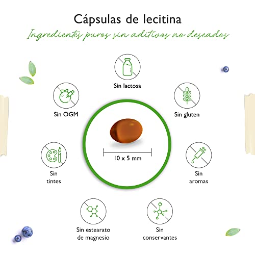 Lecitina 1.200 mg - 240 cápsulas blandas - Premium: Con fosfátidos - Lecitina de soja no modificada genéticamente - Alta dosis