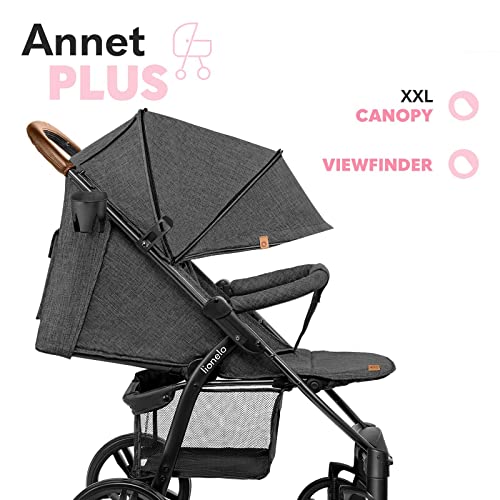 LIONELO Annet Silla de Pase Para niños hasta 22 kg 0-48M ajuste del respaldo hasta posición horizontal Capucha XXL Plegable fácil con ventana Mosquitera