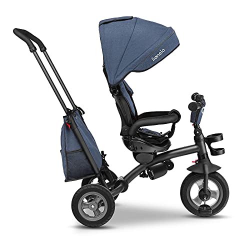 LIONELO Tris Bicicleta 2 en 1 Niño hasta 25 kg 12-60M Triciclo y carrito- bicicleta Cinturones de 3 puntos con fundas Regulación gradual del respaldo de 3 niveles Gris oscuro