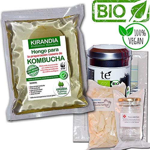 LOTE COMPLETO KOMBUCHA FRESCO, SCOBY KOMBUCHA - Con Registro Sanitario (RGSEAA) - Elabora Tu Propio Té de Kombucha Biológico en Casa