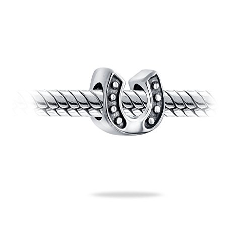 Lucky Equestrian Horseshoe Good Luck Charm Bead For Women Teen .925 Sterling Silver Fits European Bracelet