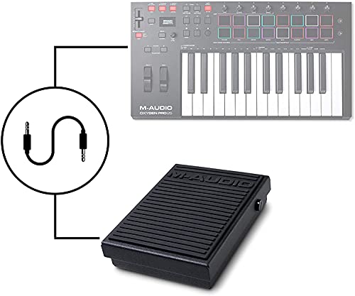 M-Audio SP-1 - Pedal de sostenido universal para teclados electrónicos