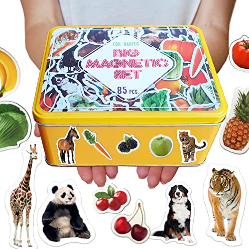 MAGDUM 85 Fotos Set Animales&Frutas&Verduras en Caja de Lata de Regalo-imanes de bebé Realistas-85 Grandes Juguetes de imán para 3 años-Juegos Educativo Aprender magnético para niños-Teatro Magnético