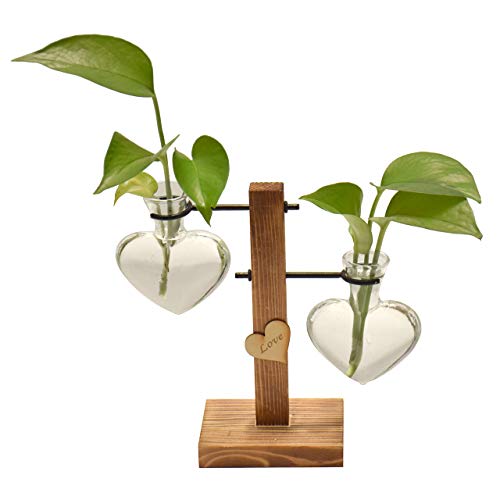 MAGIIN Florero de Vidrio Macetero con Soporte de Madera Jarrón de Vidrio Transparente para Jardinería Planta de Hidroponía Decoración de Escritorio Casa Boda (Corazón, 2 Florero)