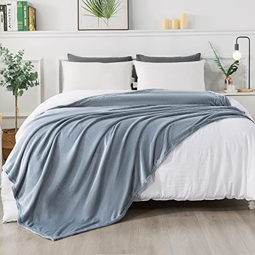 Mantas para Sofa Gris Claro 150 × 200 cm, RATEL Mantas para Cama de Franela Reversible, Mantas Ligeras de 100% Microfibra - Fácil De Limpiar - Extra Suave Cálido