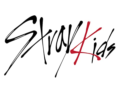 MERCHANDMANIA COJIN Stray Kids Logo Cantantes KPOP hogar Comodo cussion.