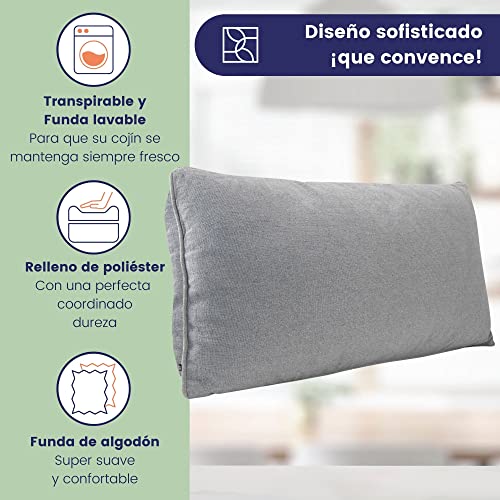 Moderno Juego de Cojines de sofá 40x70 con Suave Funda de algodón - Cómodo cojín Decorativo con Relleno de firmeza Media cojín Decorativo para el Respaldo - Cojín de sofá Grande