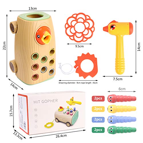 Montessori Juguetes Aprendizaje,Juego Infantil Magnetico Colores Que Desarrolla Habilidades Cognitivas,Juguetes Montessori 1+ Años,Regalo de Cumpleaños,Juegos Educativos de Granja Infantiles Ejercicio