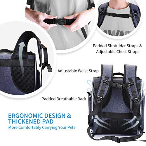 morpilot Mochila Gato, Mochila Transportin Perro Plegable para Gatos y Perros Pequeños, Bolsa de Transporte Transpirable con Correa de Seguridad Interior + Tazón, Ideal para Viajes, Uso al Aire Libre