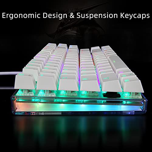 MOTOSPEED Teclado mecánico para juegos con retroiluminación RGB multicolor, base transparente, anti-Ghosting, teclado USB 87 teclas, interruptor azul, iluminación LED Mac/PC/Laptop