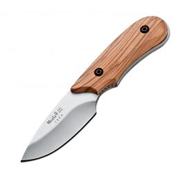 MUELA - Ibex-8.OL. Cuchillo de Caza Muela. Mango de Olivo. Hoja 8 cm. Funda Cuero. Herramienta para Caza, Pesca, Camping, Outdoor, Supervivencia y Bushcraft