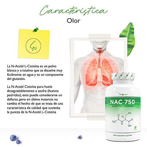 NAC - N-Acetil L-Cisteína 180 cápsulas con 750 mg cada una - Suministro para 6 meses - Vegano - Altamente dosificado - Sin aditivos no deseados