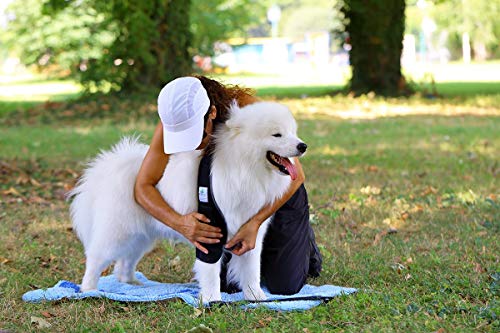 NATURE PET Vendaje contra Callos por no moverse Durante Largo Tiempo/Vendaje para Callos/Vendaje de Codo/Vendaje de Perro en Caso de higroma - Azul - M