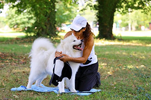 NATURE PET Vendaje contra Callos por no moverse Durante Largo Tiempo/Vendaje para Callos/Vendaje de Codo/Vendaje de Perro en Caso de higroma - Azul - XL