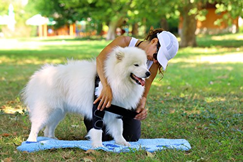 NATURE PET Vendaje contra Callos por no moverse Durante Largo Tiempo/Vendaje para Callos/Vendaje de Codo/Vendaje de Perro en Caso de higroma - Azul - XL