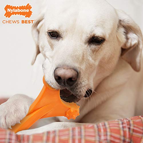 Nylabone Dura Chew Axis Hueso Perro Chew Juguete