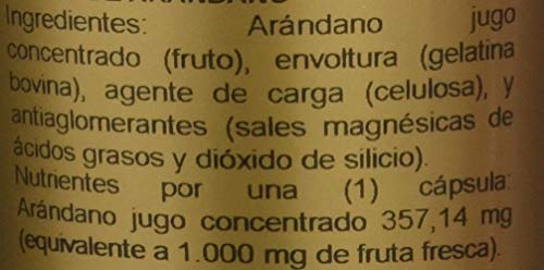 Obire Arándano 1000 mg. 60 capsulas