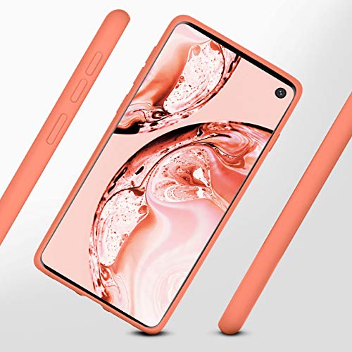 ONEFLOW Carcasa blanda compatible con Samsung Galaxy S10 de silicona, borde elevado para protección de pantalla, doble capa, suave funda – coral mate