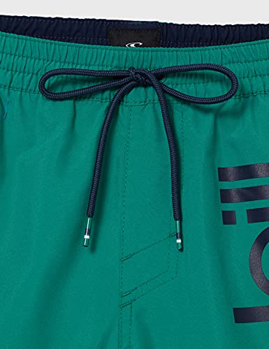 O'Neill Pm Original Cali Shorts, Bañador para Hombre, Verde (6168 Ivy), XL