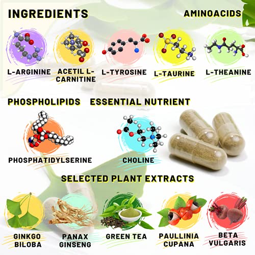 ONIT - Nootrópico Natural Potenciador Cognitivo, Incrementa tu Concentración Memoria y Motivación, Extractos de 5 Plantas + 5 Aminoácidos + Fosfatidilserina + Bitartrato de Colina, Vegano Sin Gluten