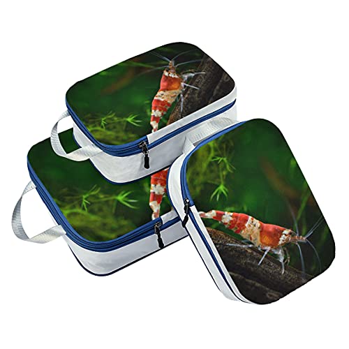 Organizador de embalaje Crystal Red Shrimp de pie sobre musgo acuático Bolsas de viaje Organizador para equipaje Bolsas de embalaje de viaje expandibles para equipaje de mano, viaje (juego de 3)