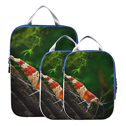 Organizador de embalaje Crystal Red Shrimp de pie sobre musgo acuático Bolsas de viaje Organizador para equipaje Bolsas de embalaje de viaje expandibles para equipaje de mano, viaje (juego de 3)