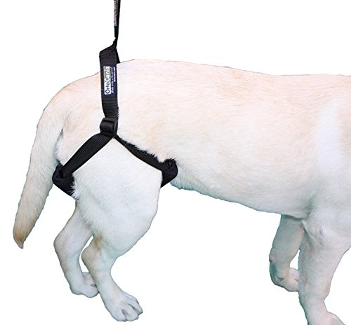 Ortocanis Arnés de Soporte para Perro - Talla única