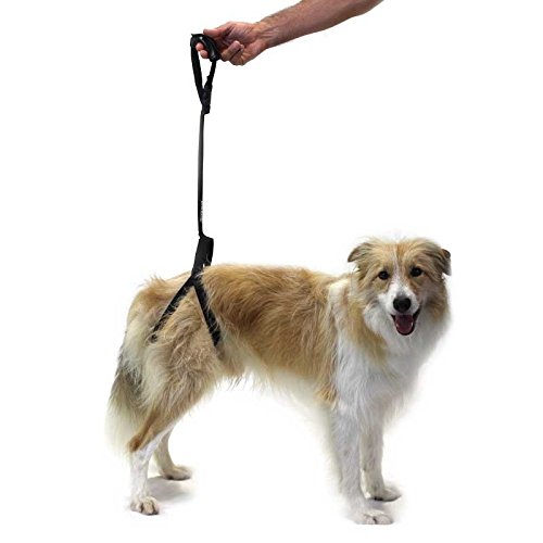 Ortocanis Arnés de Soporte para Perro - Talla única