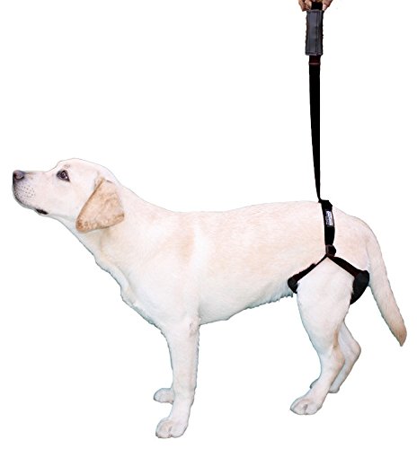 Ortocanis Arnés de Soporte para Perro - Talla única