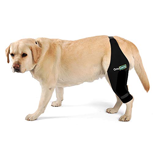 Ortocanis Inmovilizador de Rodilla para Perros con Rotura de ligamentos, luxación de rótula - 2 férulas Laterales limitan los Movimientos - 8 Tallas Disponibles - Color Negro (XXL - Izquierda)