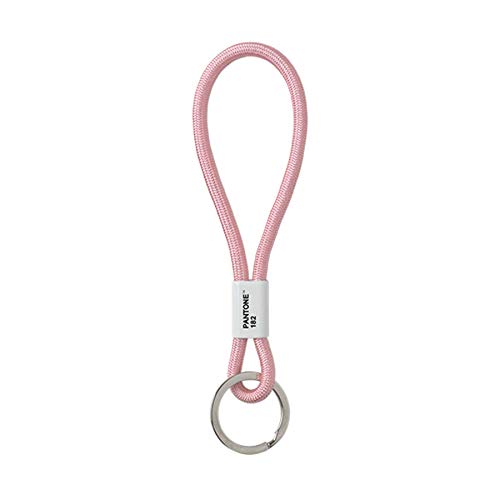 Pantone Pantone Key Chain Llavero 18 Centimeters Rosa (Light Pink 182)