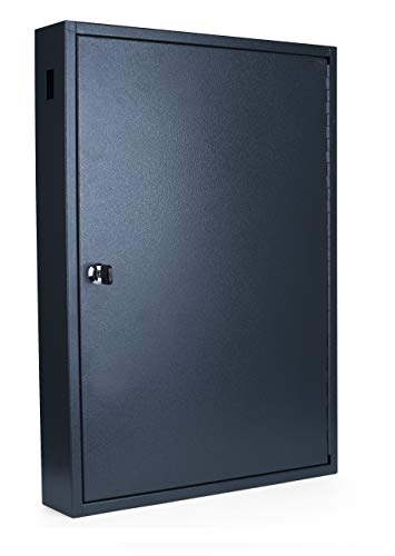 Pavo 8047222 Caja para Llaves de Alta Seguridad (Capacidad para hasta 100 Unidades) Gris