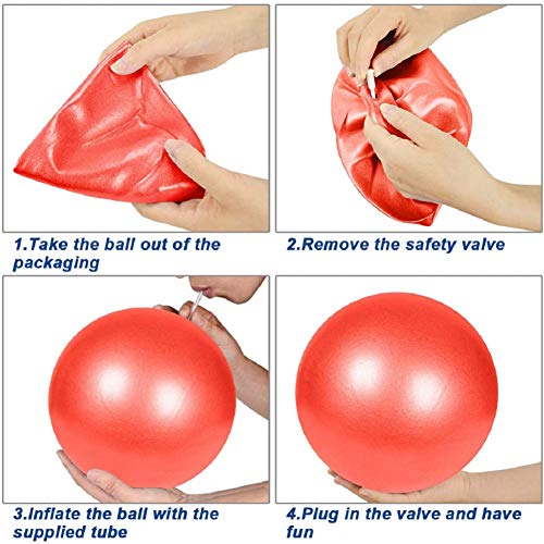 Pelota de Mini Pilates 25cm Pelota de Ejercicios de Sports Balón de Yoga para Ejercicios Abdominales Masaje y Gimnasio en Casa y Ejercicios básicos de rehabilitación de Hombros (Rojo)