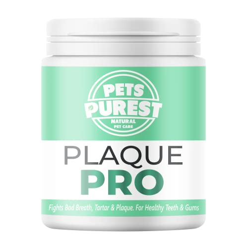 Pets Purest Polvo para Eliminación de Sarro y Placa para Perros, Cachorros y Gatos (180g) Plaque Clean 100% Natural para Animales. Limpia y Cuida Dientes Blancos y Encías. Ayuda contra el Mal Aliento