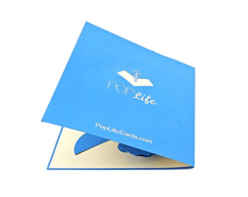 PopLife Cards 3d grúa de aves pop-up tarjeta de felicitación - todas las ocasiones