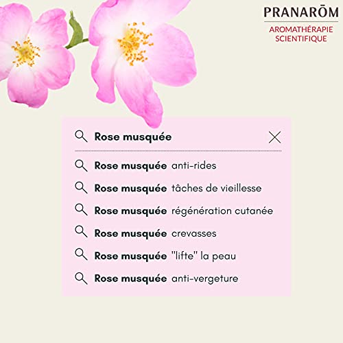 Pranarom - Aceite Vegetal de Rosa Mosqueta Bio, 6.51, Rose Musquée, 50 Mililitros