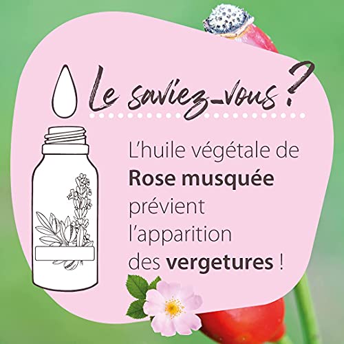 Pranarom - Aceite Vegetal de Rosa Mosqueta Bio, 6.51, Rose Musquée, 50 Mililitros