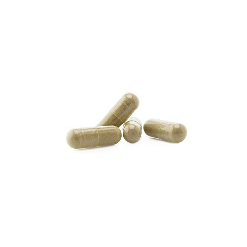 PRO CONCENTRACIÓN * 440 mg / 60 cápsulas * Complejo nootrópico con extractos titulados * Cerebro (concentración)