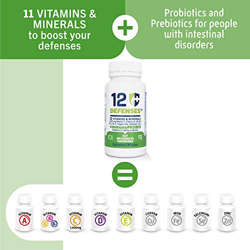 PROBIOTICOS y Prebioticos para la Salud Intestinal - 7 cepas diferentes - Multivitaminas para el Sistema Inmunológico con Vitamina C 1000mg, Vitamina D, Zinc - 60 cápsulas vegetarianas - 12 DEFENSES