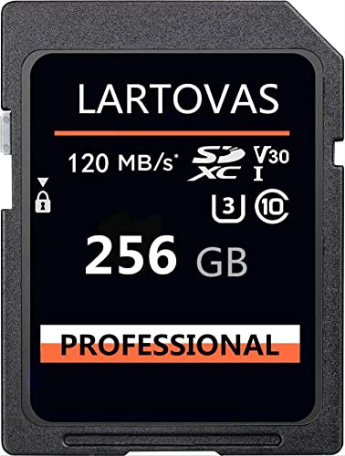 Professional Tarjetas de memoria SDXC de 256 GB UHS-I C10 SD Memory Card Tarjeta de memoria SecureDigital Speed up to Max 120 MB/S Compatible with DSLR & 3D Cameras,HD camcorders (256 GB)