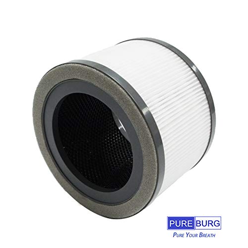 PUREBURG Paquete de 2 filtros de aire HEPA de repuesto compatibles con Levoit Vista 200 purificador de aire número de pieza Vista 200-RF