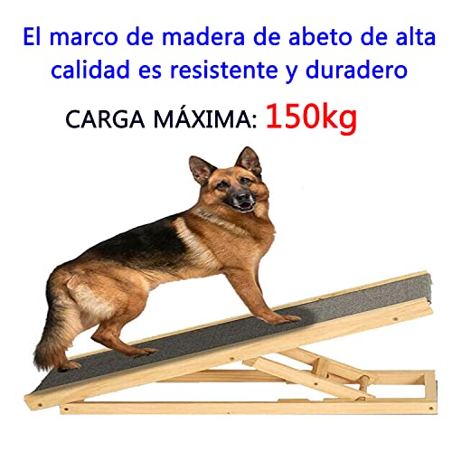 Rampa para Perros Grandes - 100x40x30/40/50/60cm, Rampa de Coche para Perros con 4 Escalones Regulables en Altura y Antideslizante de la Alfombra, Rampa Plegable para Perros, Carga Máxima 150kg