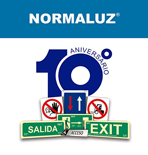 RD11171 - Señal Luminiscente Salida Minusvalidos Izquierda Clase B PVC 0,7mm 32x16cm con CTE, RIPCI Nueva Legislación