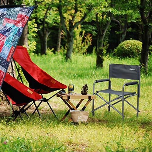 Relaxdays Silla Director Plegable para Maquillaje, Camping y Pesca, Aluminio, Gris, 85 X 56 X 45 cm