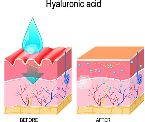 REVE Crema Antiarrugas Facial Argan con Ácido Hialurónico + Molecular Film + Vitamina E + Manteca de Karite + FPS15 + Aloe Vera Sin Parabenes - Hombre y Mujer, Día y Noche - Cosmética natural - 55 ml