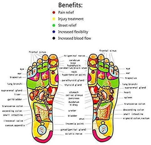 Rodillo de masaje de pies con punta de bola aliviar la fascitis plantar, espolones del talón, dolor del arco del pie, tejido profundo, acupresión, reflexología, relajar los nudos musculares doloridos