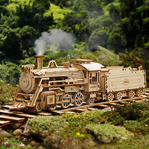 ROKR Tren Madera Maquetas para Construir - Maquetas para Montar - Set de Construcción Puzzle 3D para niños y Adultos (Prime Steam Express)