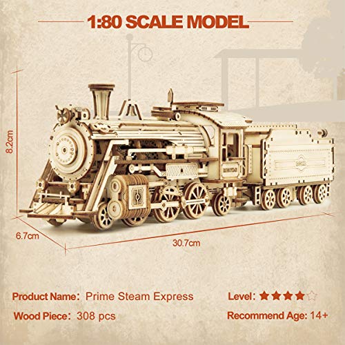 ROKR Tren Madera Maquetas para Construir - Maquetas para Montar - Set de Construcción Puzzle 3D para niños y Adultos (Prime Steam Express)